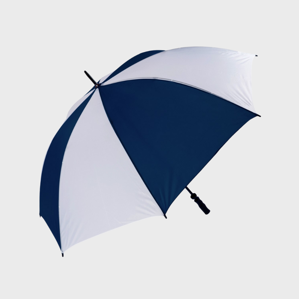 Large Umbrella